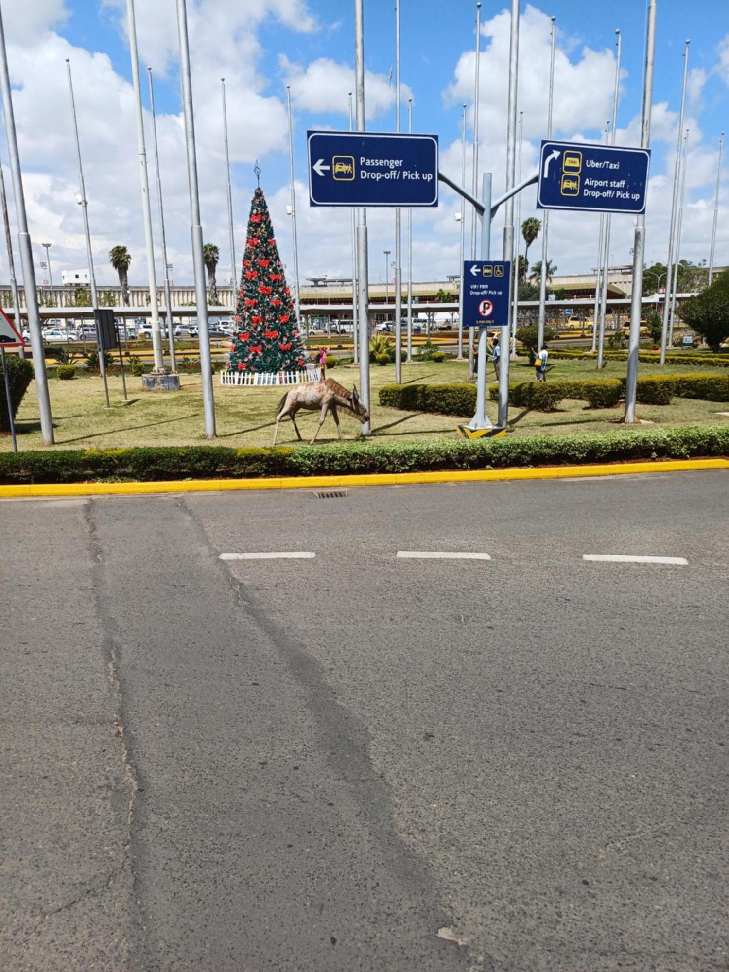 Bernkish Homes Nakuru Exterior photo